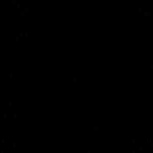 Meet your Posher, Joshua